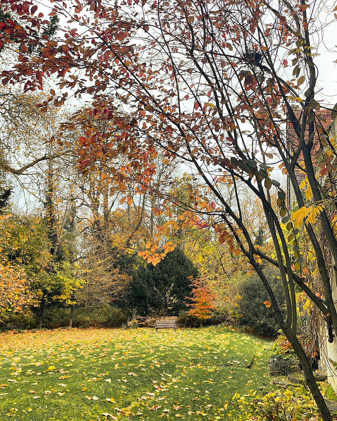 The Abbey: Grounds